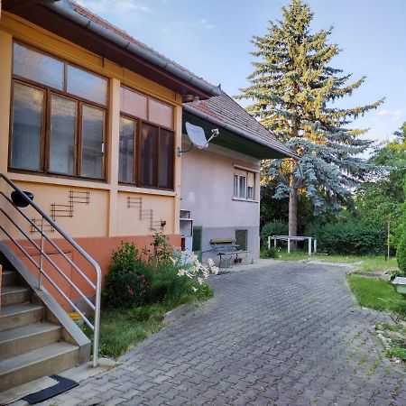 Zadora Haus Appartement Săcele Buitenkant foto